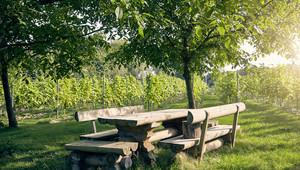 Winegarden