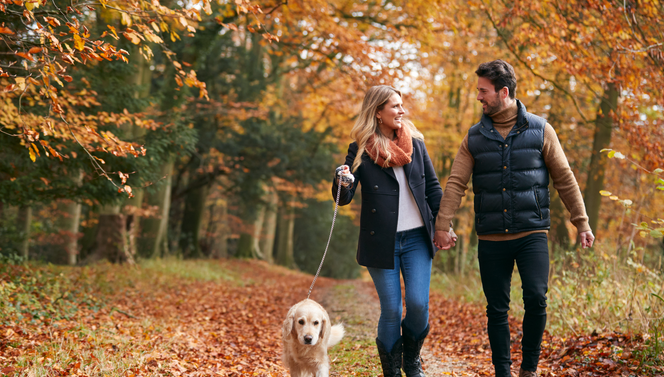 heerlijke herfst van der valk nijmegen cuijk