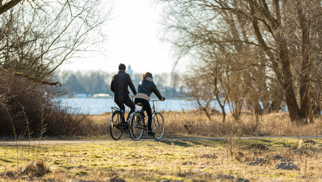Fiets arrangement