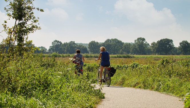Maasheggen fietsen