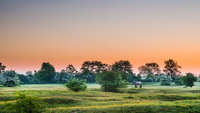 Regio land van cuijk