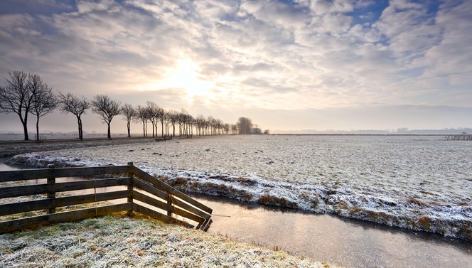 Hartje Winter 