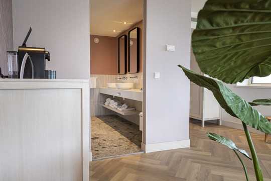 Junior suite ibiza hotel cuijk badkamer