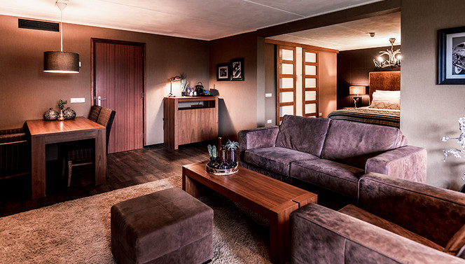 Junior suite classic suite bruin overzicht