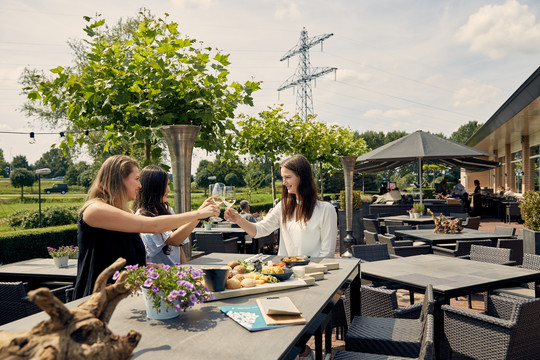 terrace and vineyard