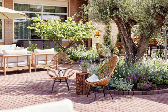 terrace and vineyard